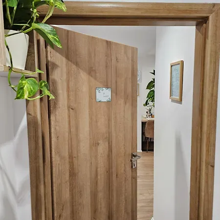 Apartment's Center Aquilo Lejlighed Tirana
